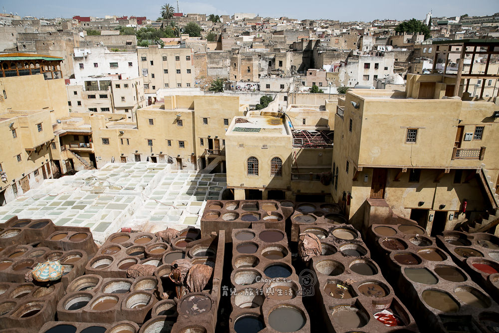 Fes Morocco 世界最大皮染廠 摩洛哥菲斯 價格是歐洲十分之一 皮革染整工廠(Tanneries of Fes)