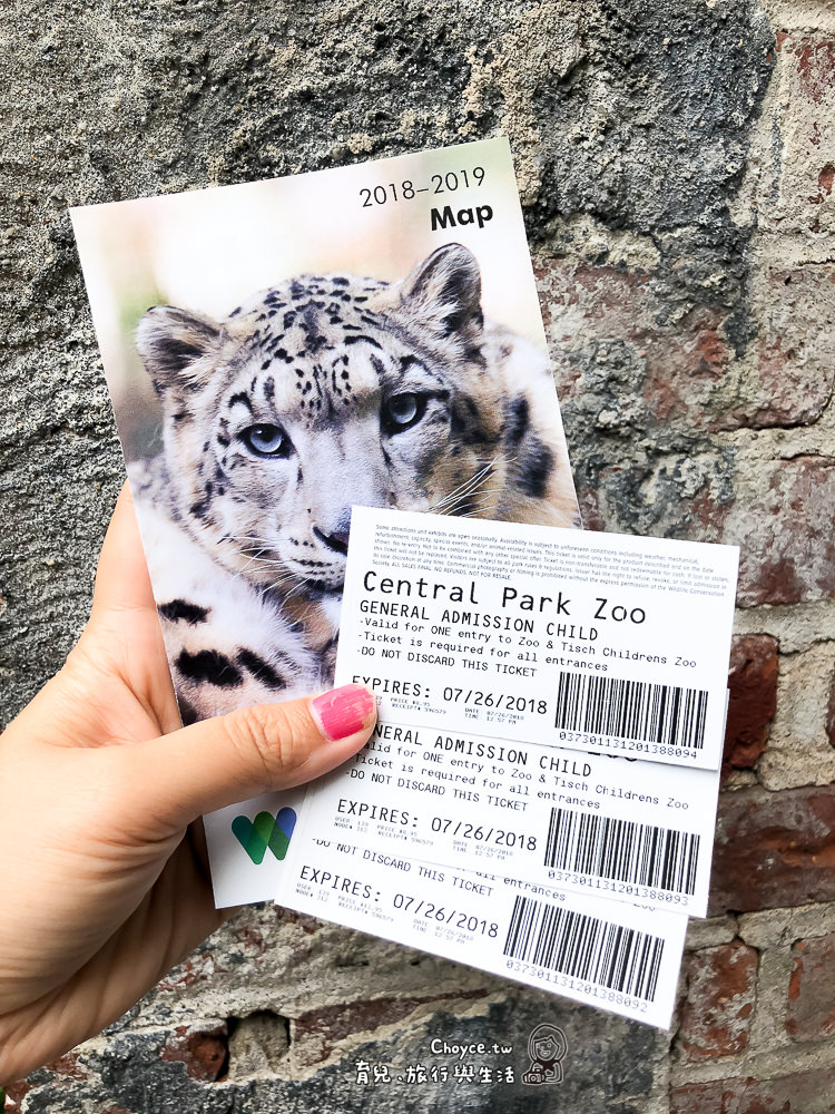 Central Park Zoo 紐約客解憂秘密基地 中央公園動物園 紅貓熊超搶鏡