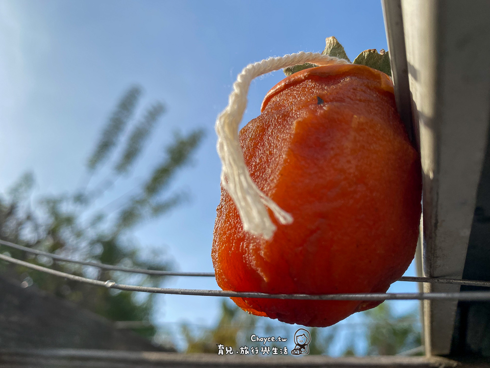 連鳥都不吃的筆柿 這樣就能搖身一變成為萬人迷 洛杉磯曬柿子DIY