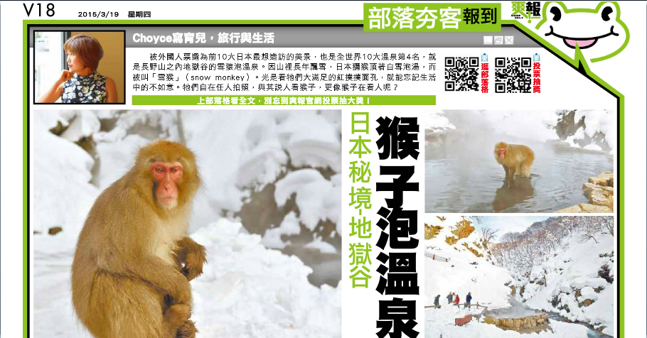 猴子泡溫泉 長野地獄谷野猿公苑snow monkey 猴子泡溫泉 (Jigokudani Hot Springs)