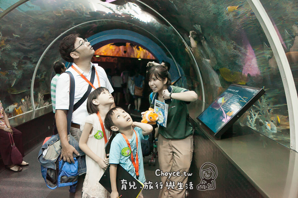 (新加坡觀光) S.E.A.海洋館 全世界最大的水族世界之一：海洋生物園 奇妙海底探索之旅，出發