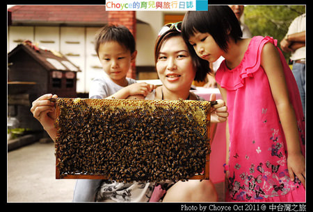 (台灣好好玩) 宏基蜜蜂生態農場 子喬子鈞與蜜蜂零距離