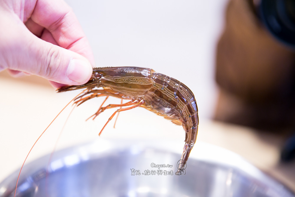北海道魚市場拍賣直擊 野付漁港 斑蝦 Hokkai shrimp拍賣現場（有影片）