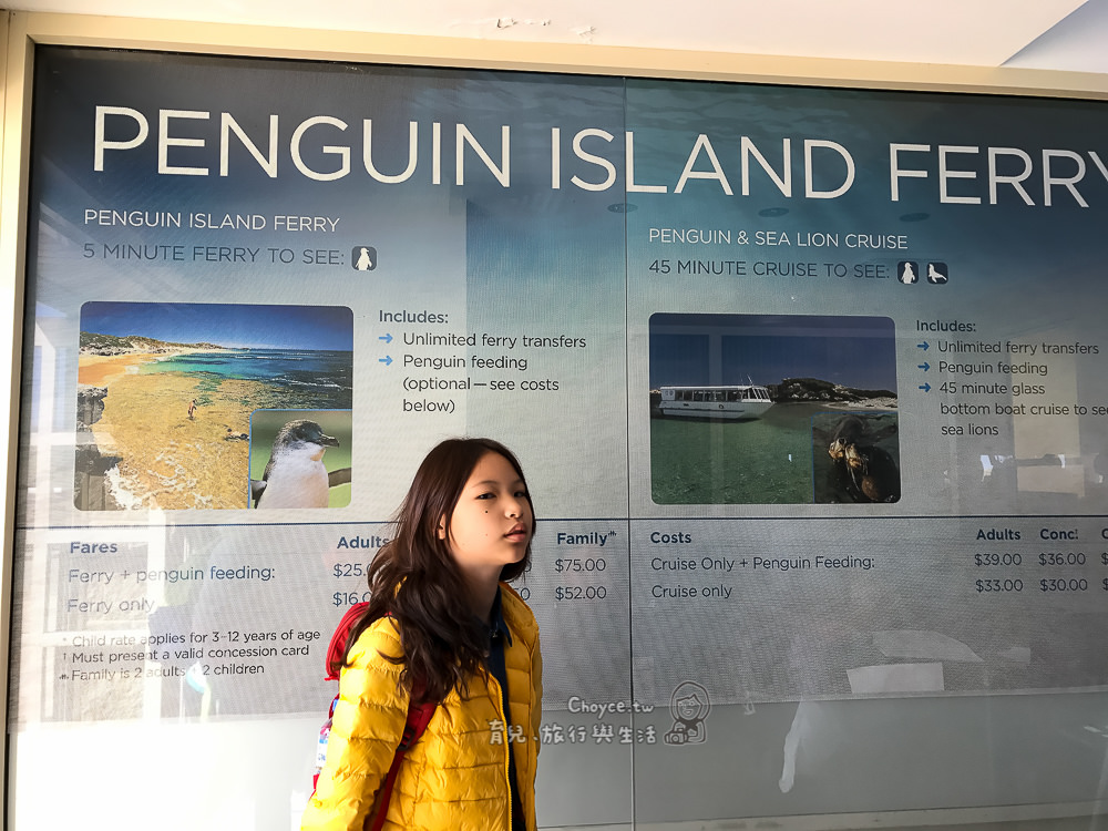 澳洲親子遊 神仙企鵝＋海獅與海豚觀察 企鵝島觀光導覽 神仙企鵝（Eudyptula minor）Rockingham Wild Encounters